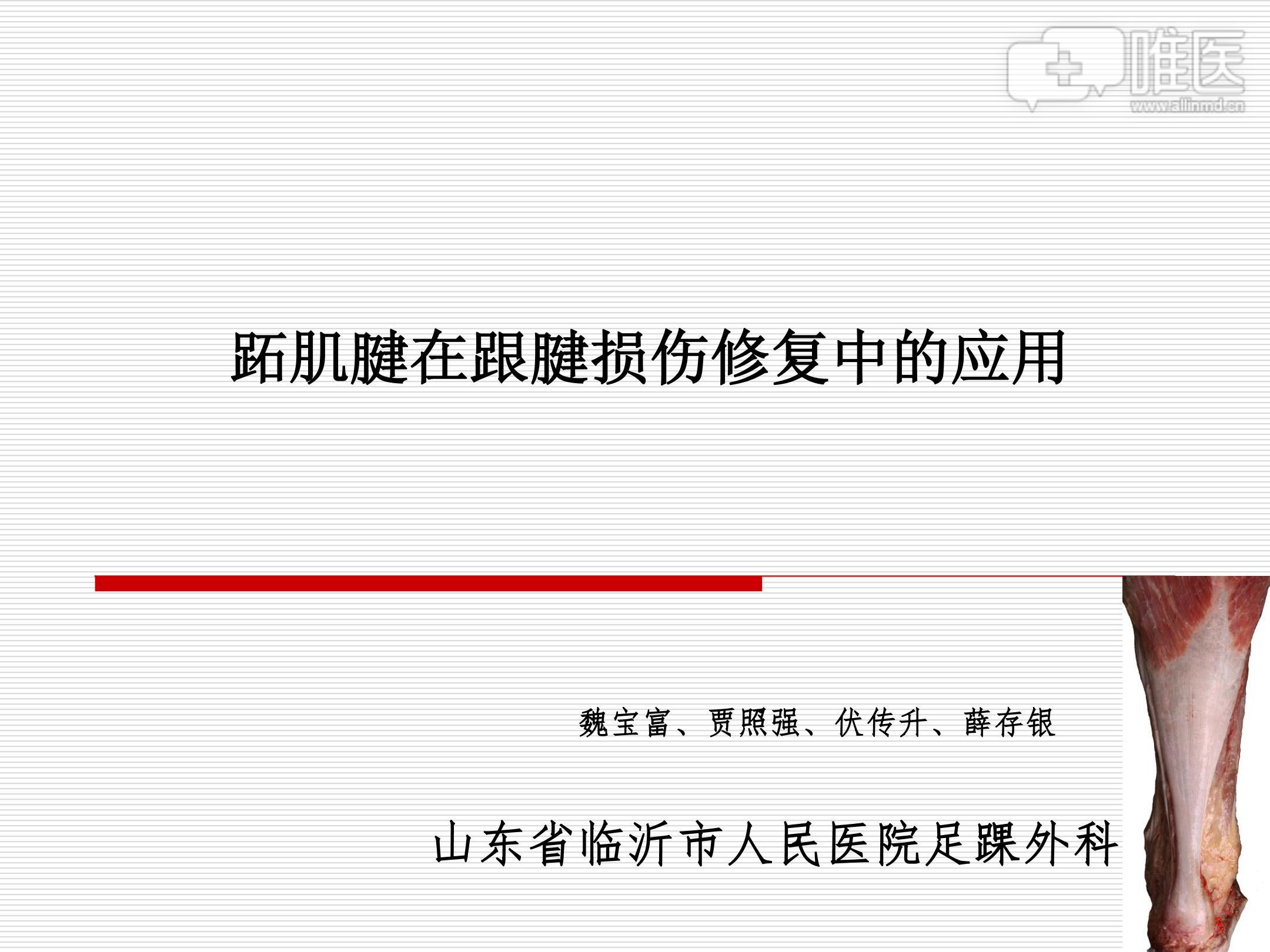 本讲座从跖肌腱解剖入手,探讨利用跖肌腱修复断裂跟腱的方法;通过