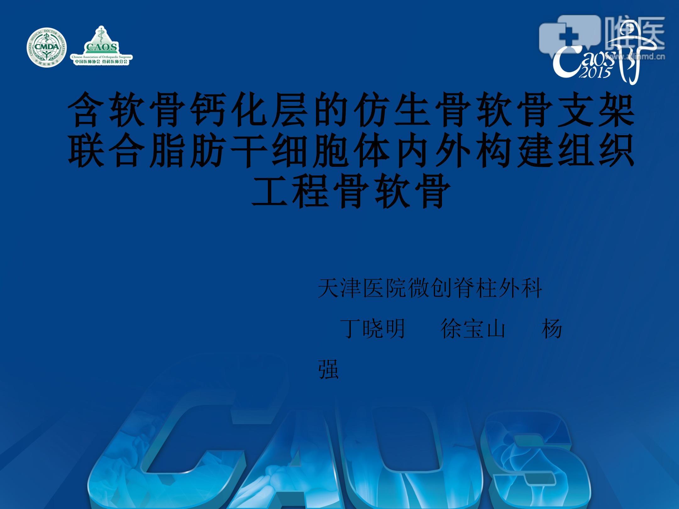 含软骨钙化层的仿生骨软骨支架联合脂肪干细胞体内外构建组织工程骨