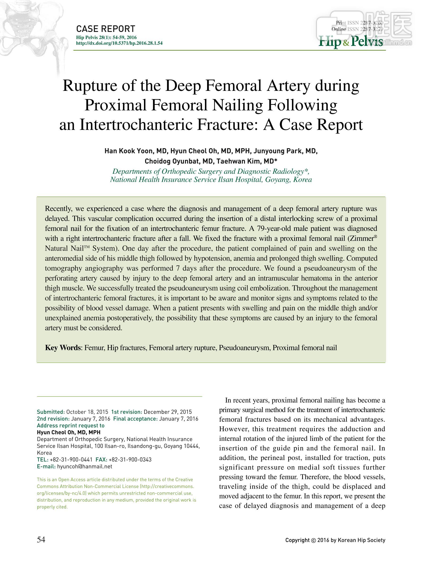 femoral artery图片